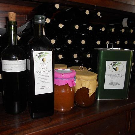 Agriturismo Le Macine Φλωρεντία Εξωτερικό φωτογραφία