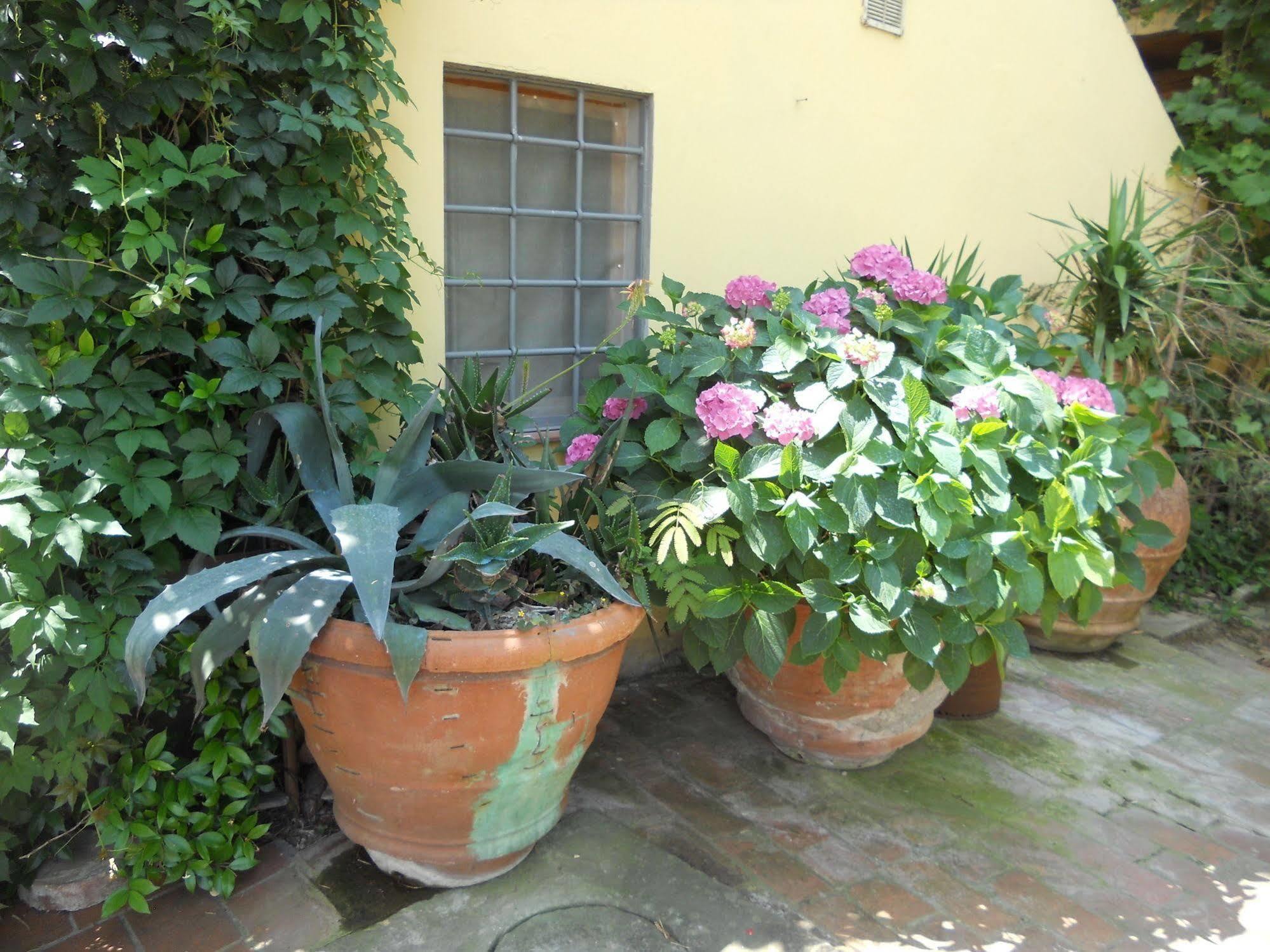 Agriturismo Le Macine Φλωρεντία Εξωτερικό φωτογραφία