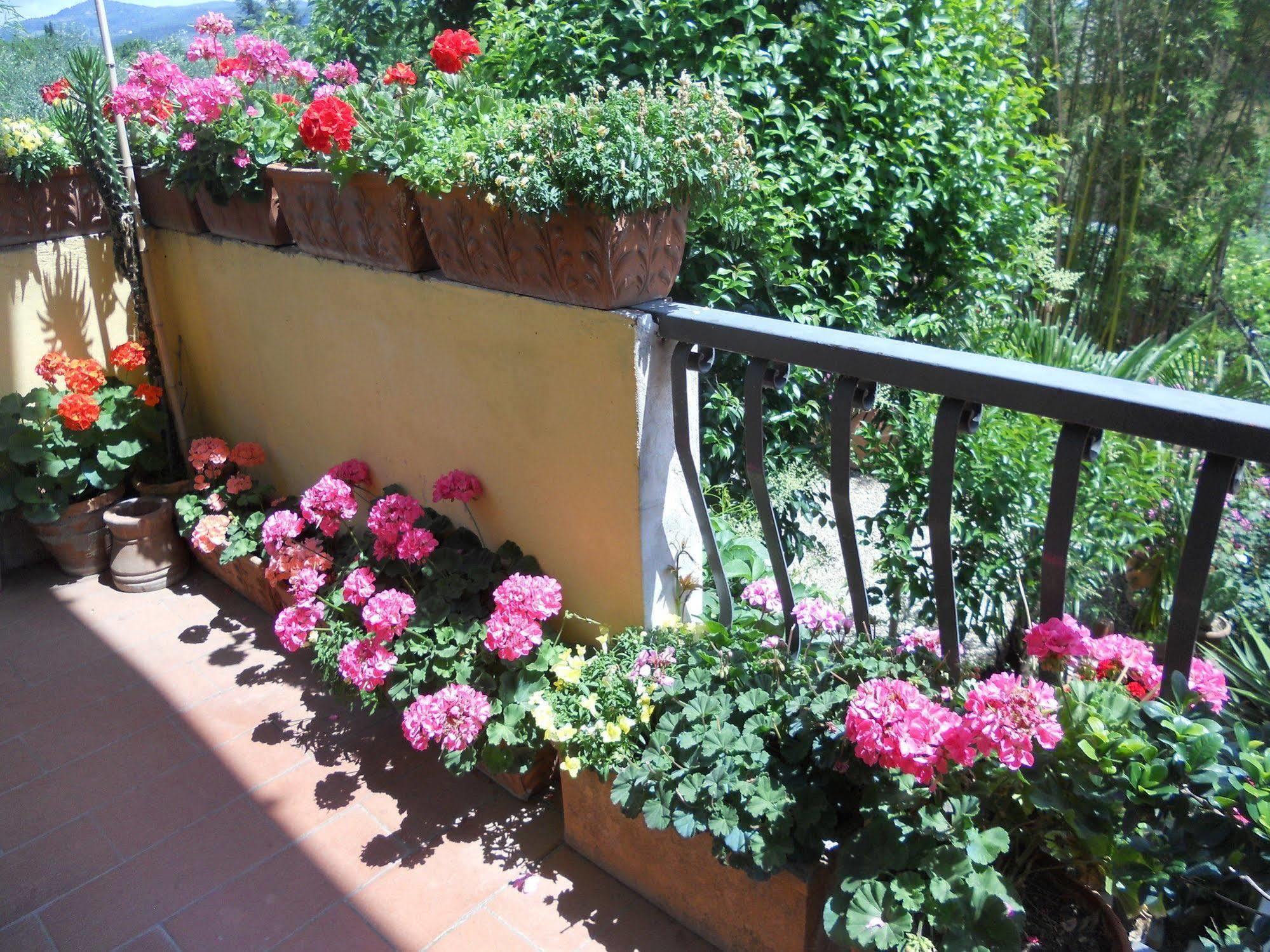Agriturismo Le Macine Φλωρεντία Εξωτερικό φωτογραφία